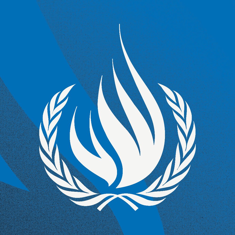 Human Rights Officer (Investigator), Office of the High Commissioner for Human Rights
