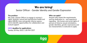 International Legal Jobs
